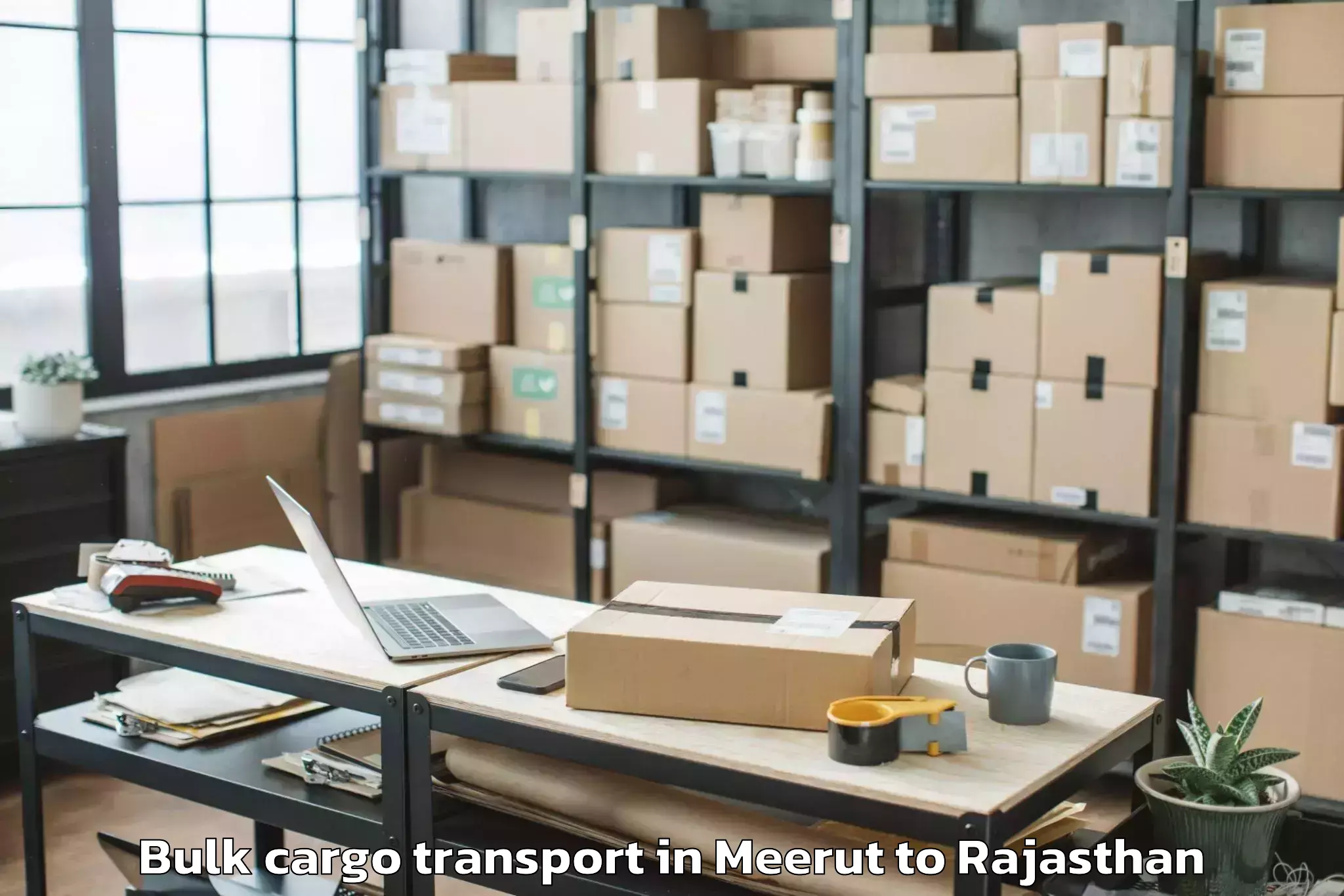 Affordable Meerut to Churu Bulk Cargo Transport